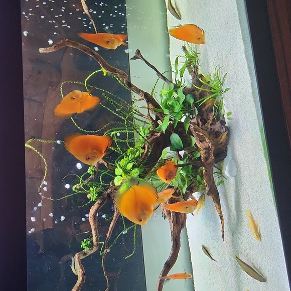 Unlisted - Picture 4 of 5